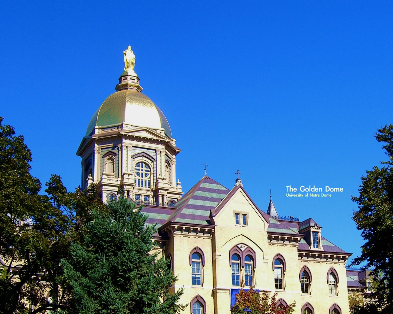 Золотой купол