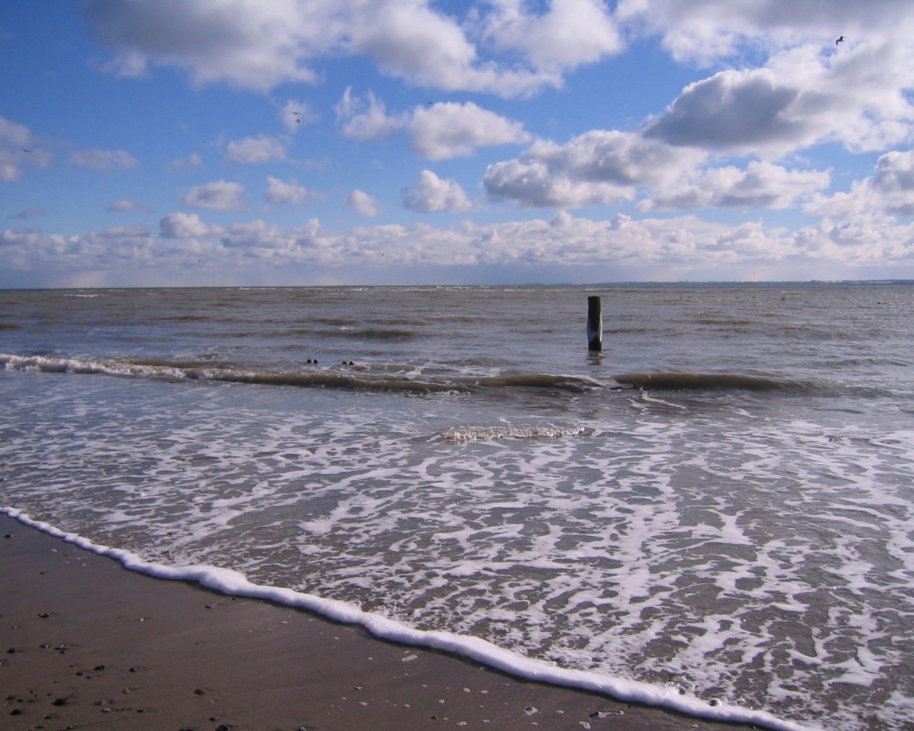 Немецкий берег