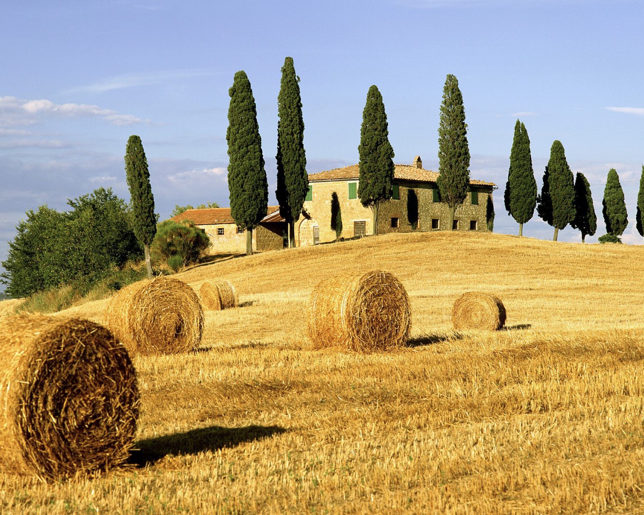 Поля Италии