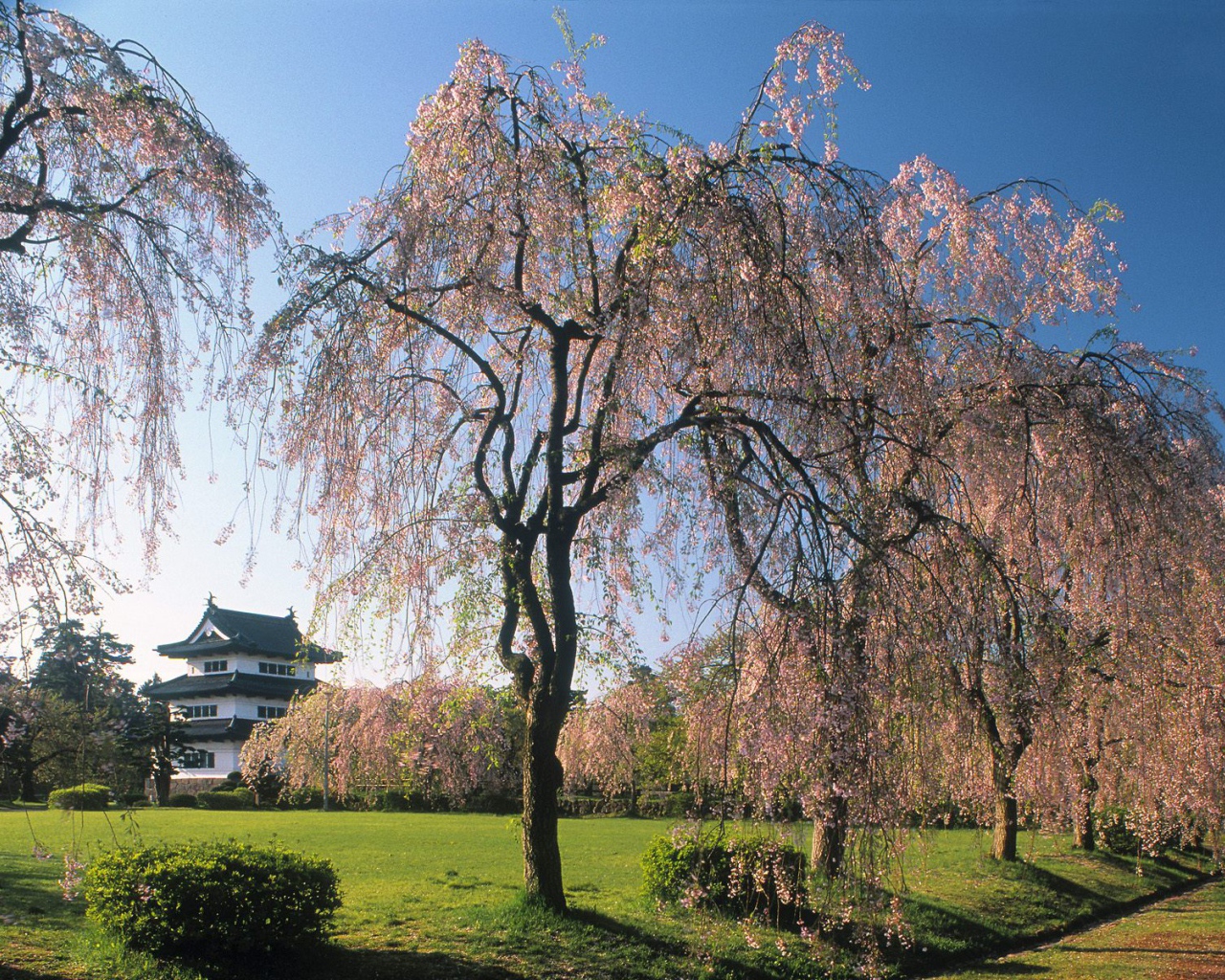 Замок Хиросаки, Япония