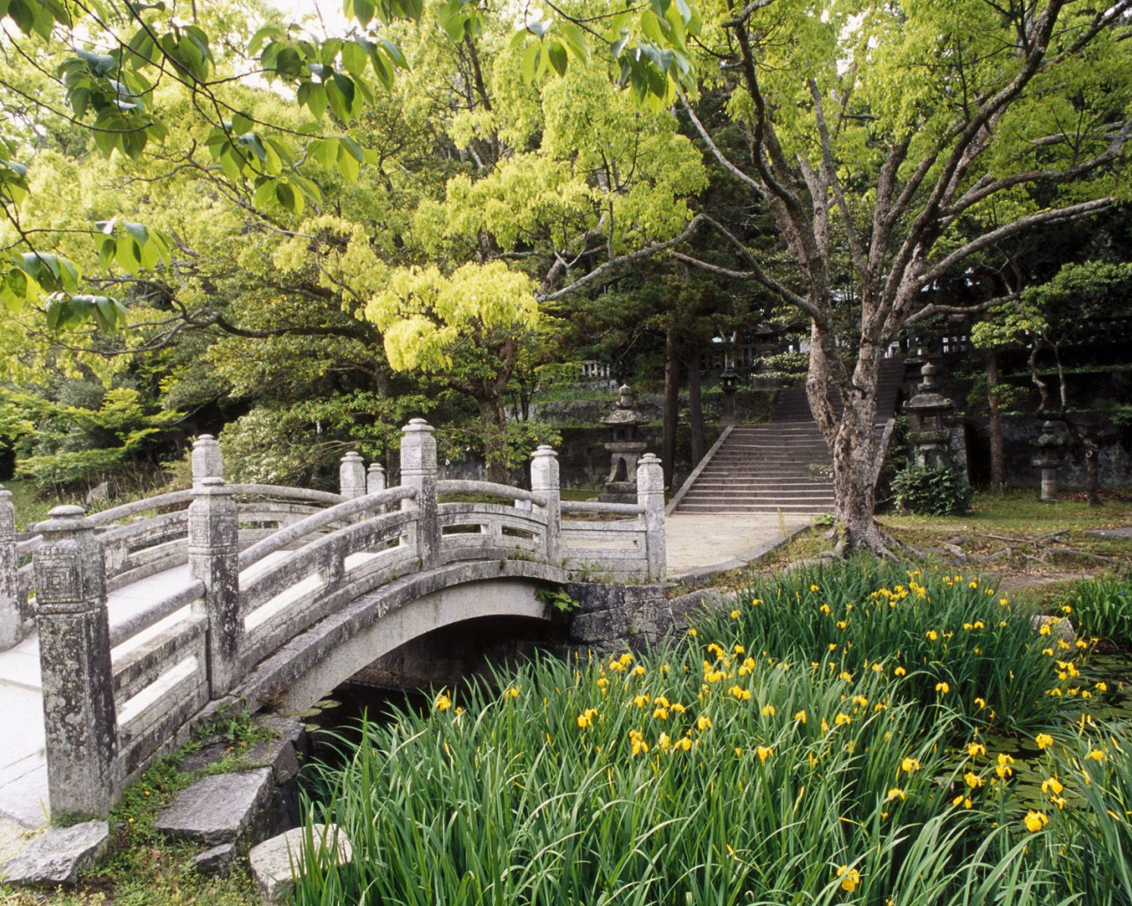 Сад Замка Hagi, Западный Хонсю