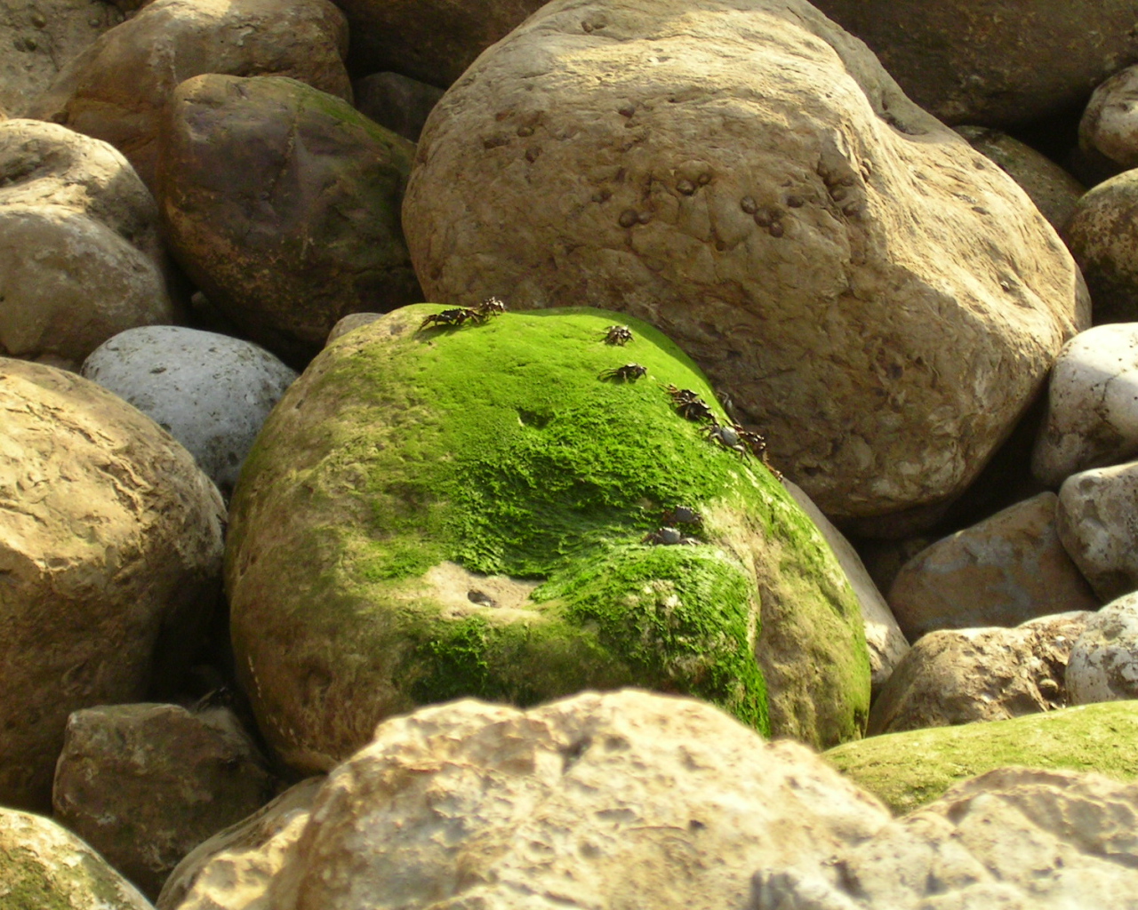 Залив Sao Martinho