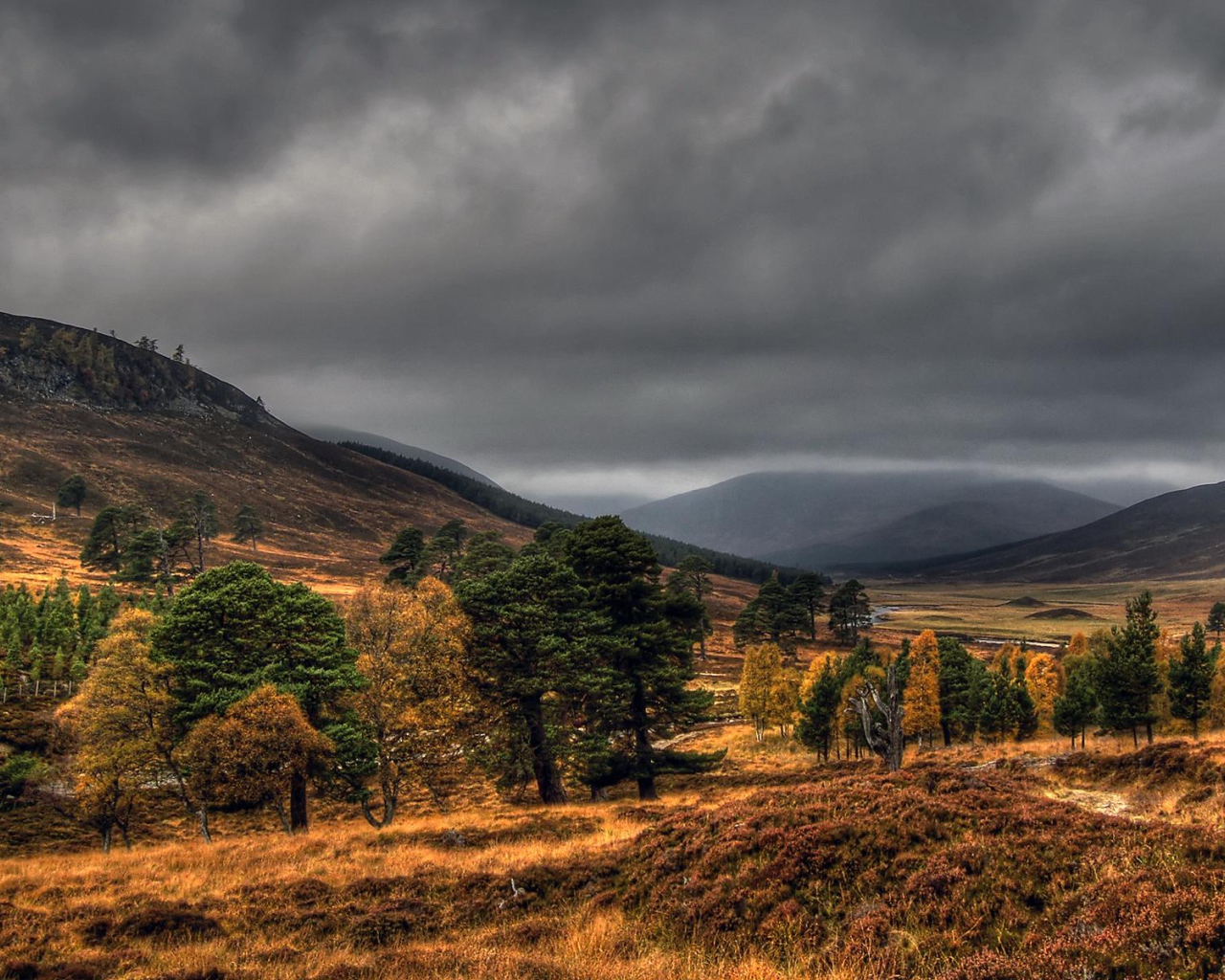 Дымчатые топазы Шотландии