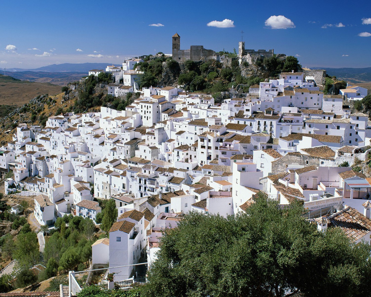 Casares