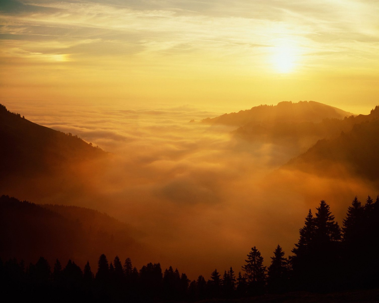 Святой Голлен, Швейцария