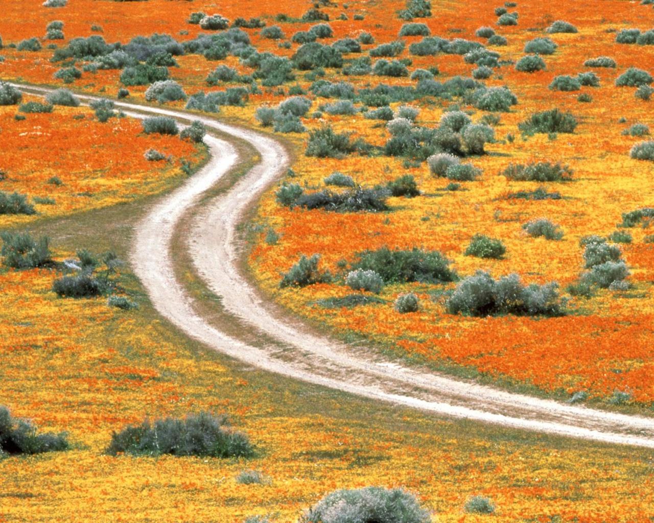 Долина антилопы США