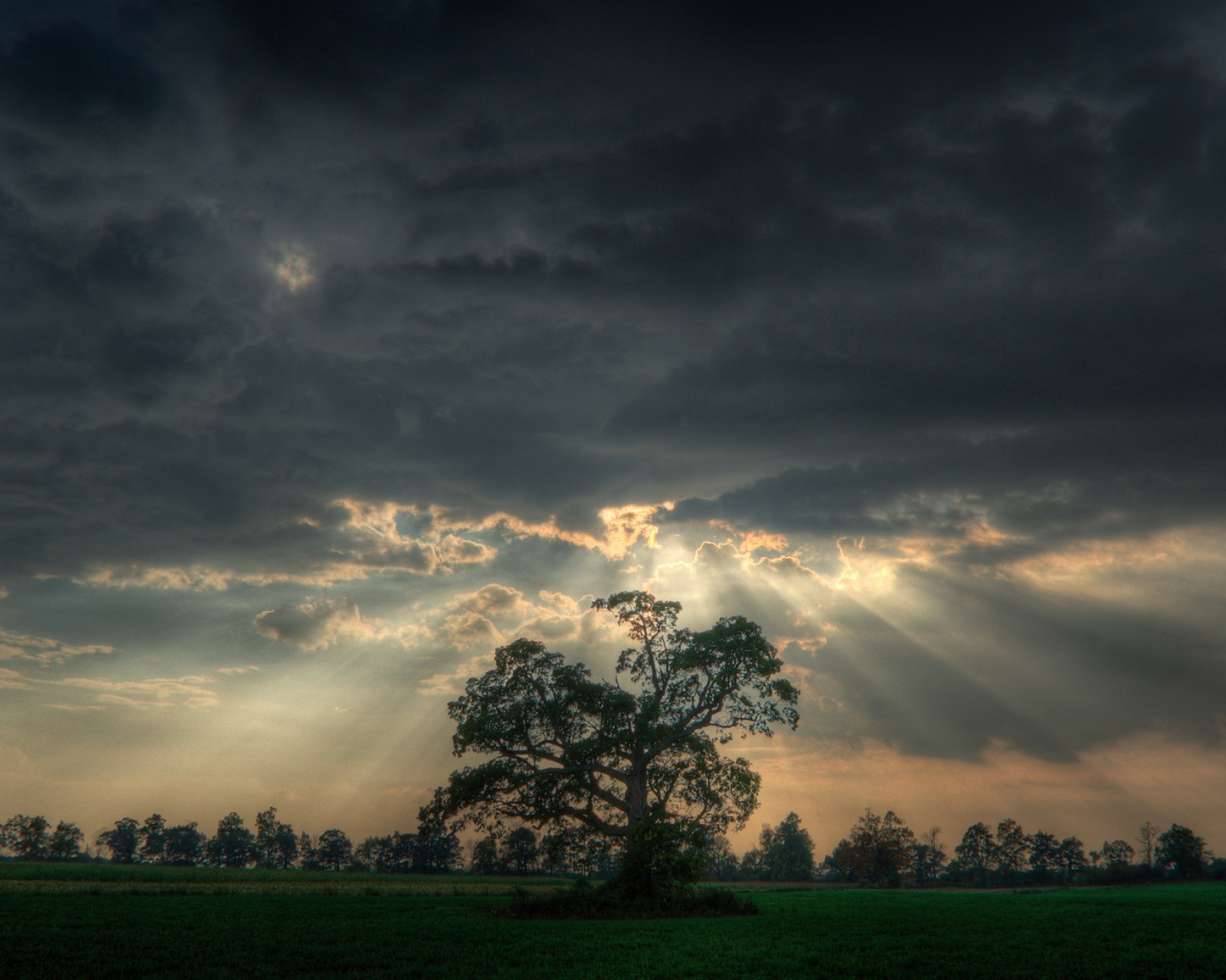 Перед штормом