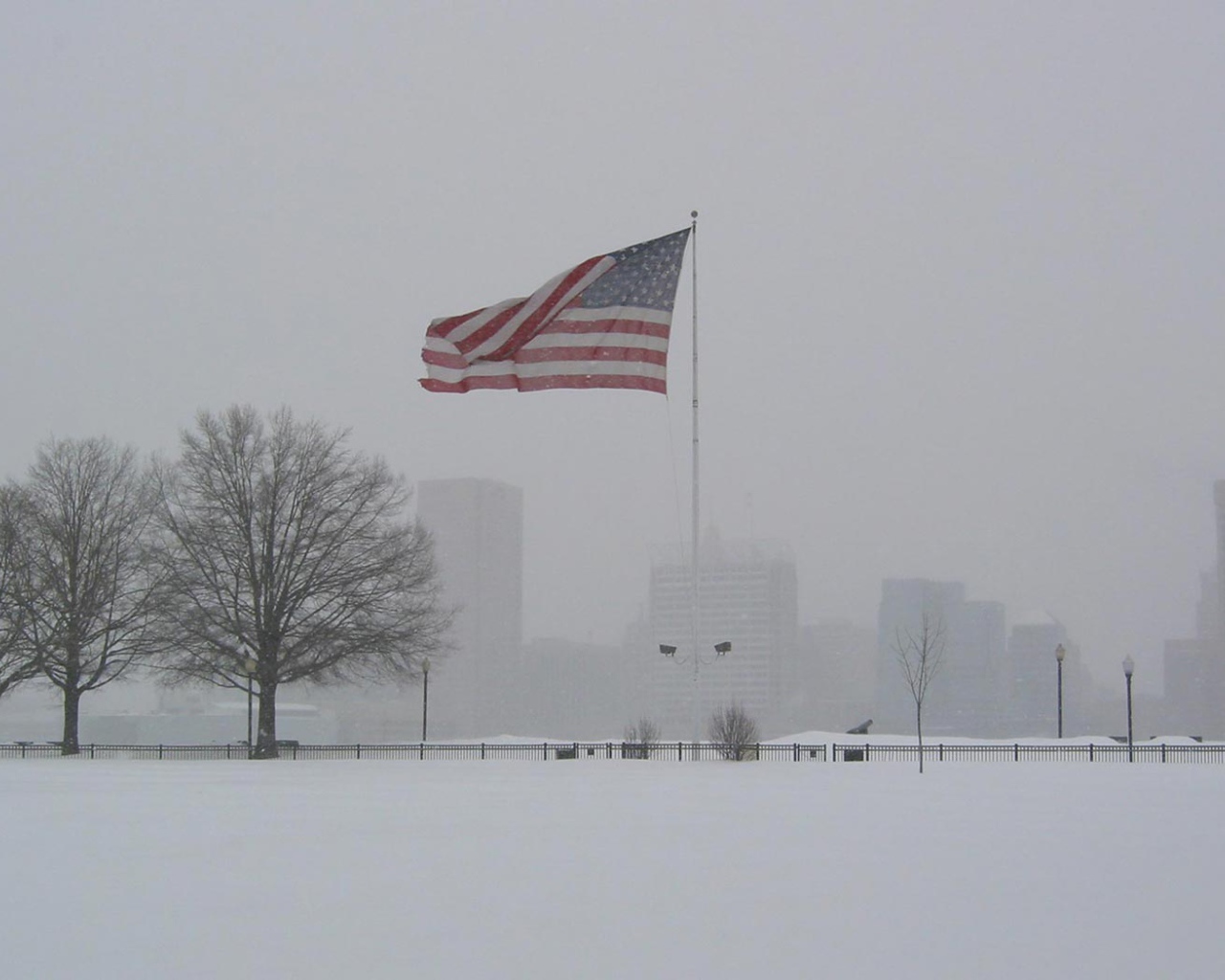 Большой Американский флаг