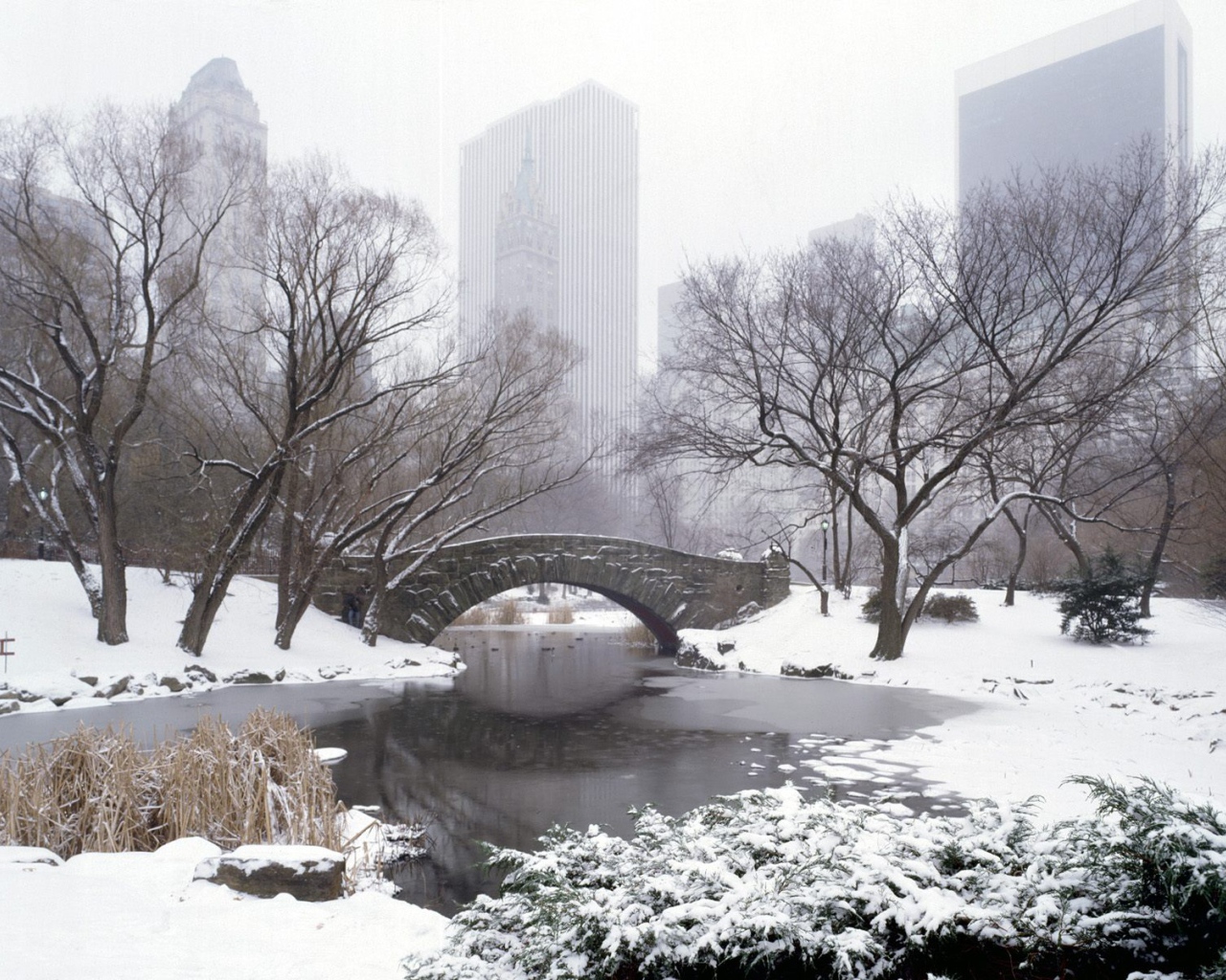 Центральный Парк НЬЮ-ЙОРК США