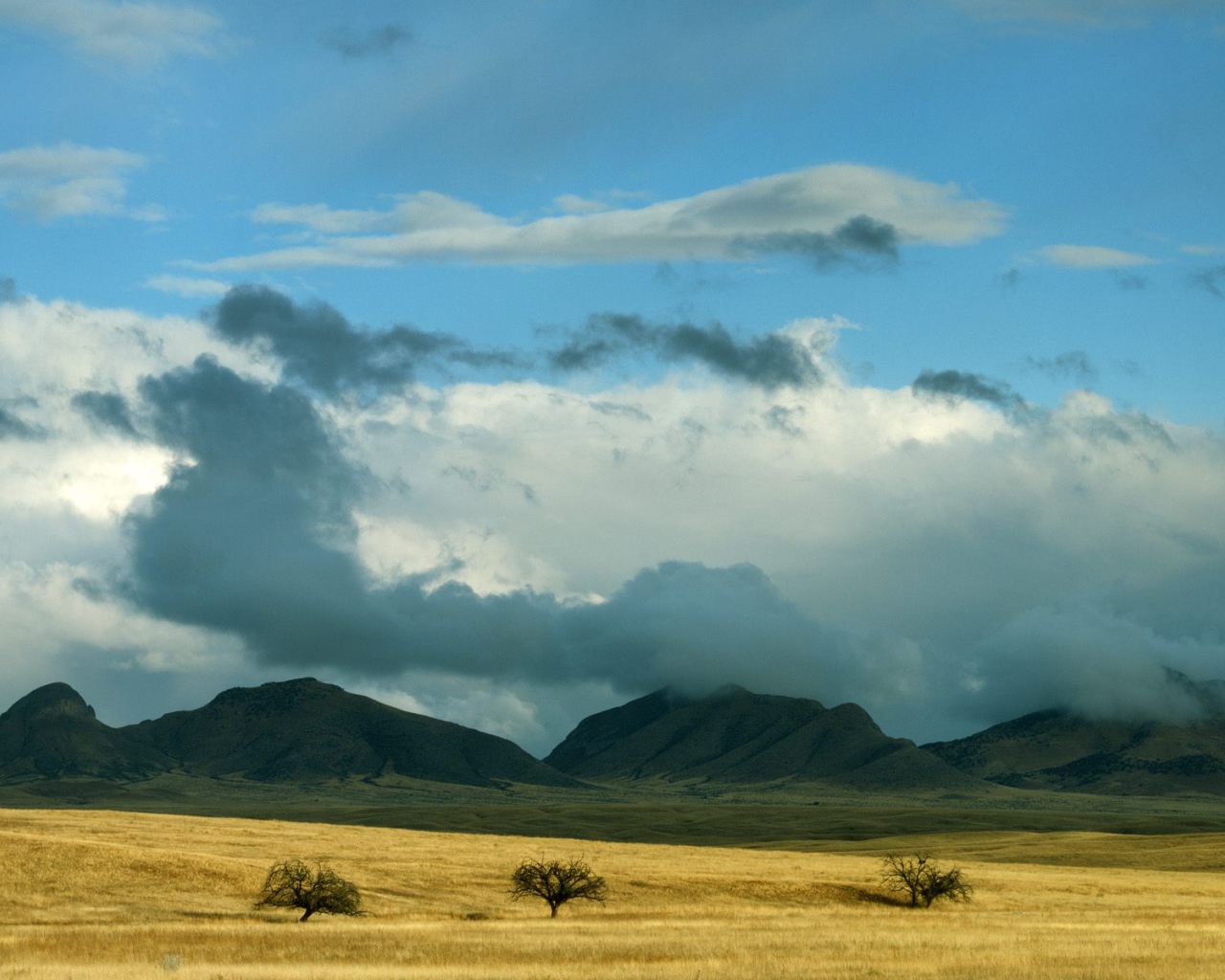 Clearing Storm Clouds / Coronado National Forest / Arizona / USA