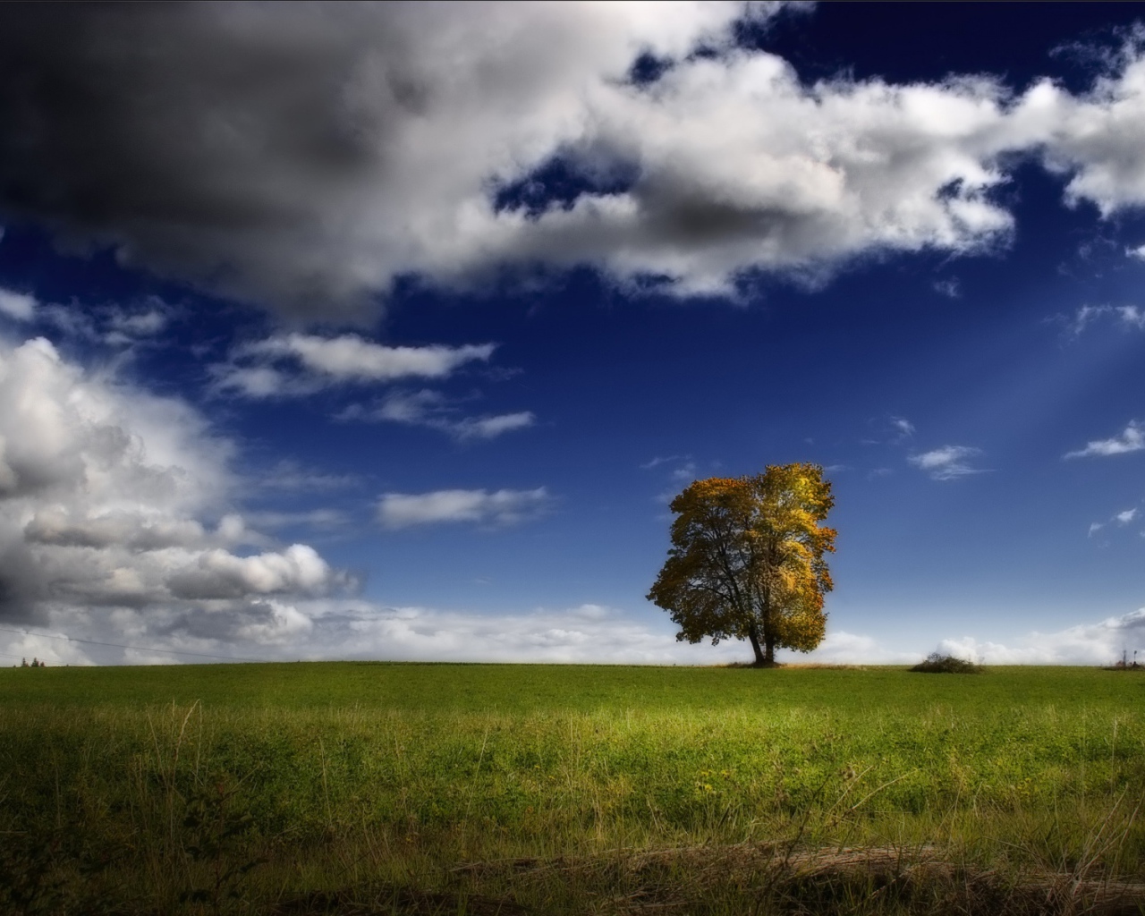 Возвышение США