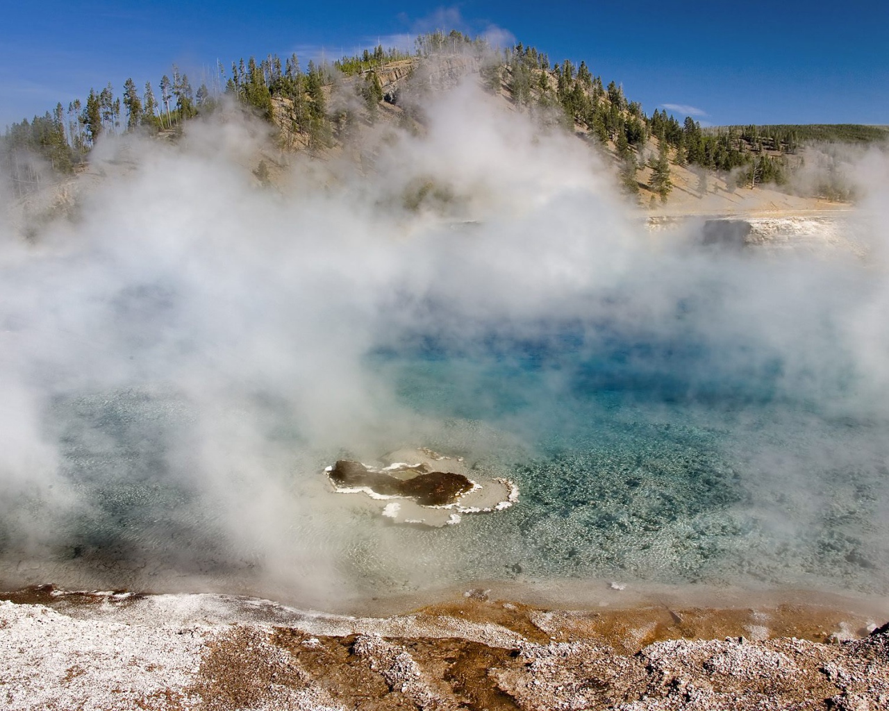 Гейзер Мягкой древесной стружки США