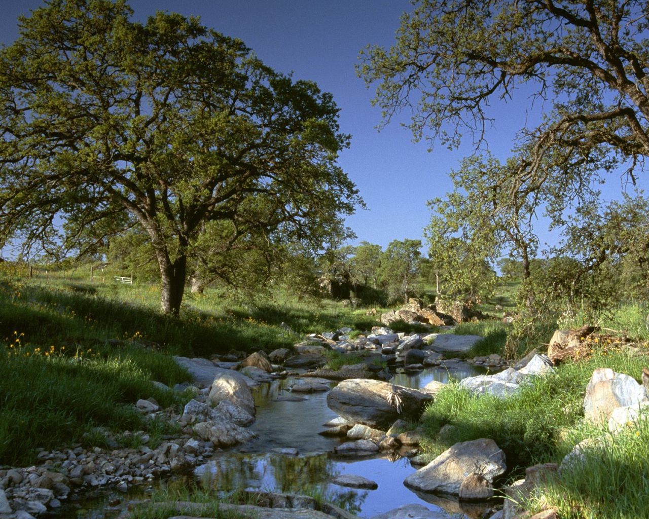 Золотая Страна / Калифорния / США