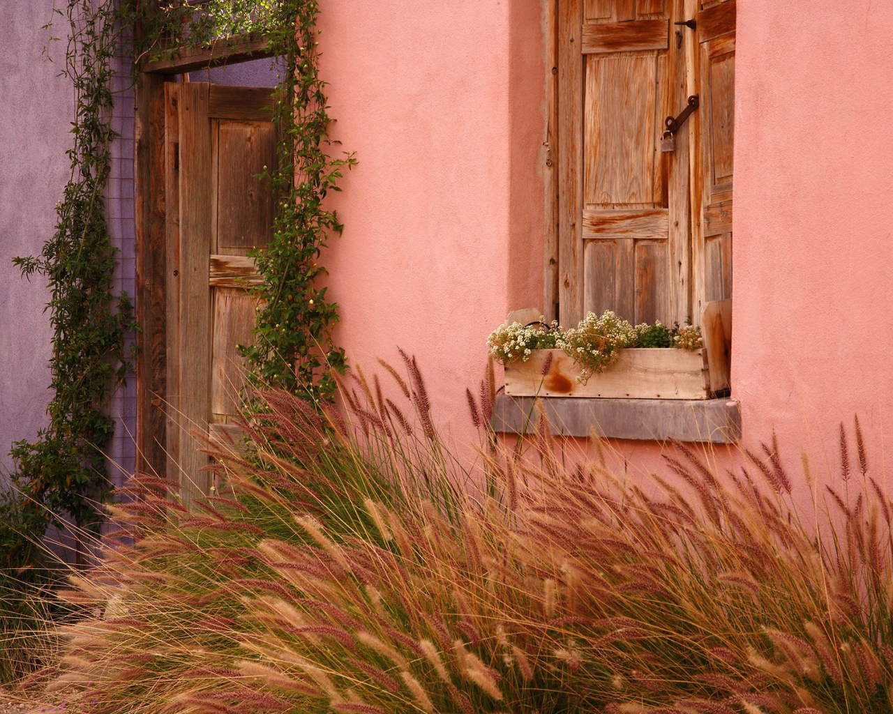 Исторический Дом / Тусон / Аризона / США