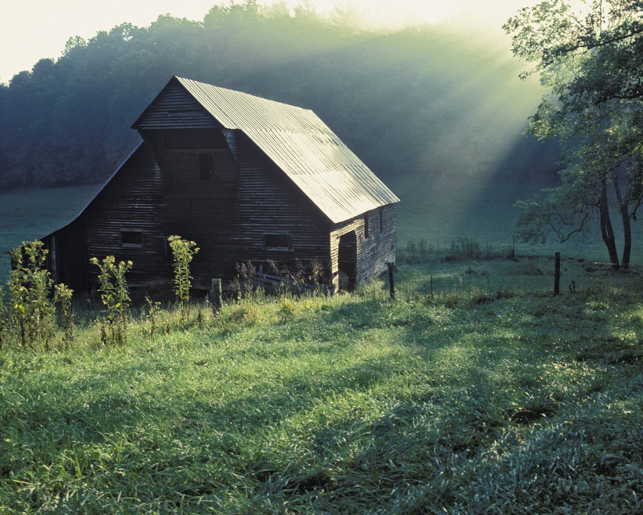 Дом в Штате Теннесси, США