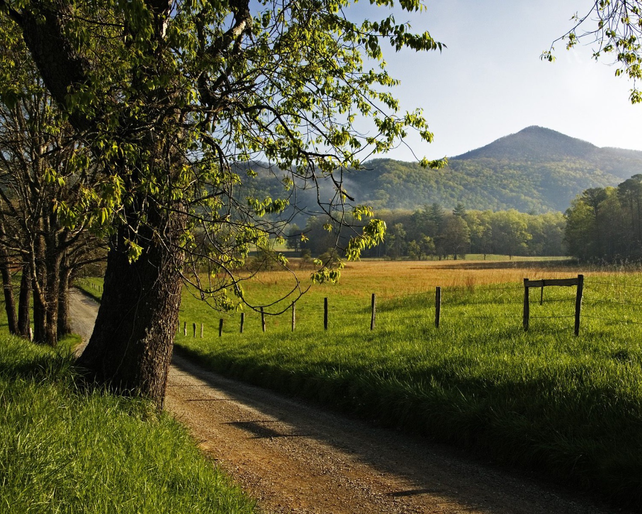 Переулок Hyatt, США