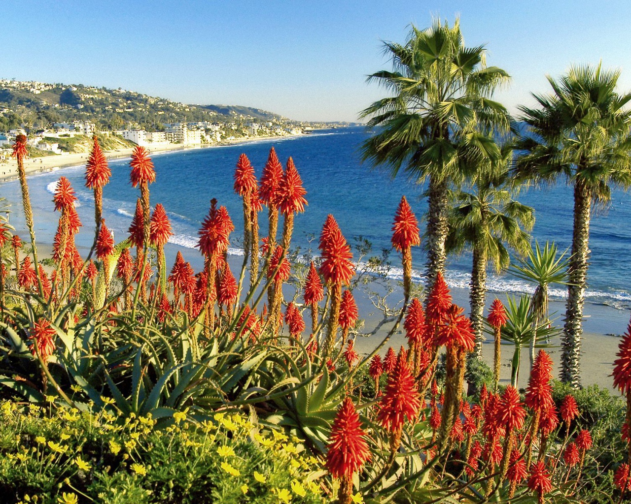 Лагуна Бич / Калифорния / США