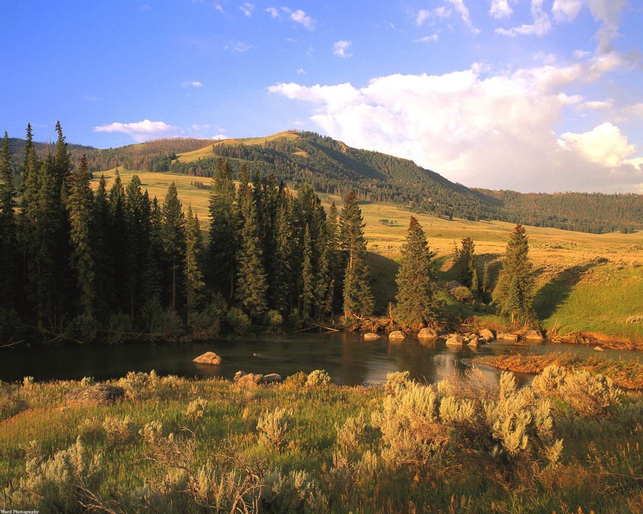 Долина Реки Lamar, США