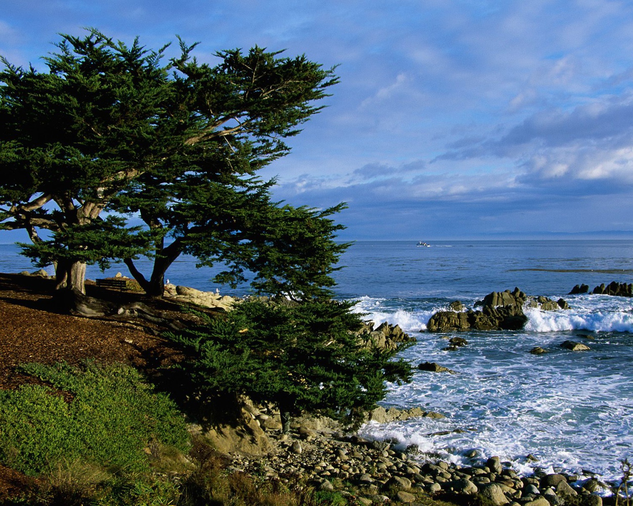 Тихоокеанская Береговая линия / Калифорния / США