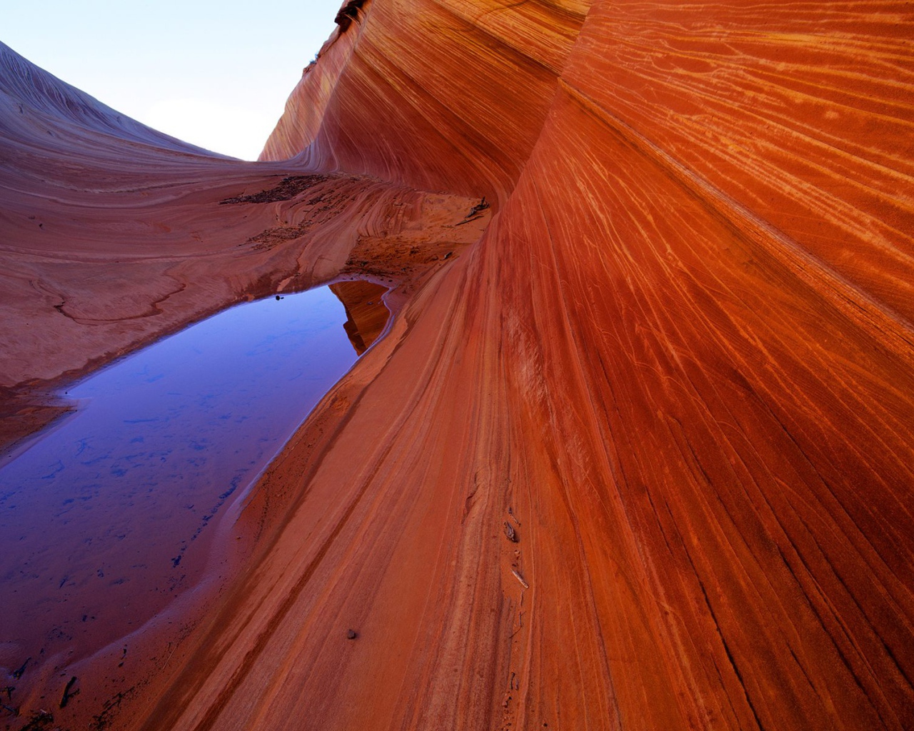 Sandstone Waves and Pool / Vermillion Cliffs /  Arizona / USA