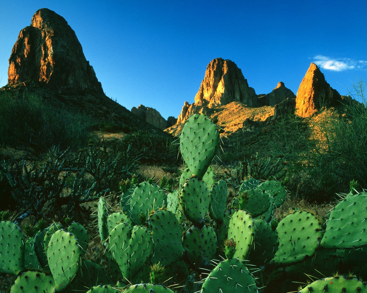 Свет восхода солнца в  Горах Суеверия / Апачский След / Аризона / США