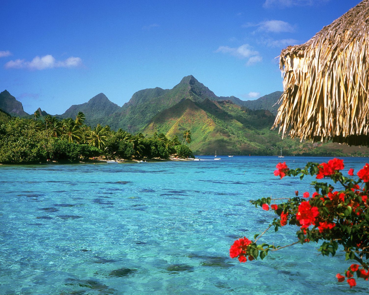 Спокойная Лагуна, США