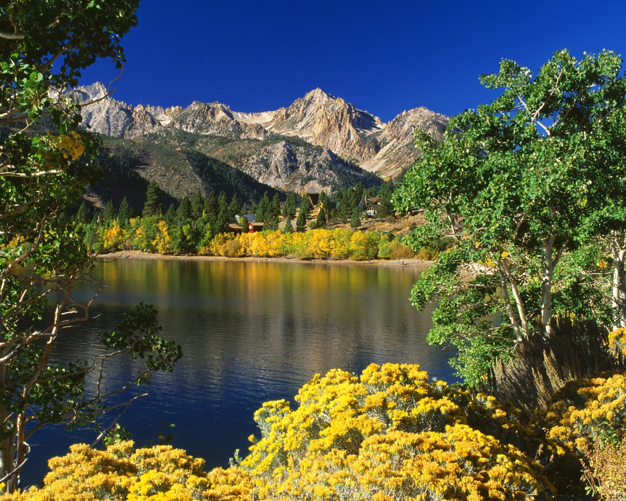 Озера Близнеца / Toiyabe Национальный Лес / Калифорния / США