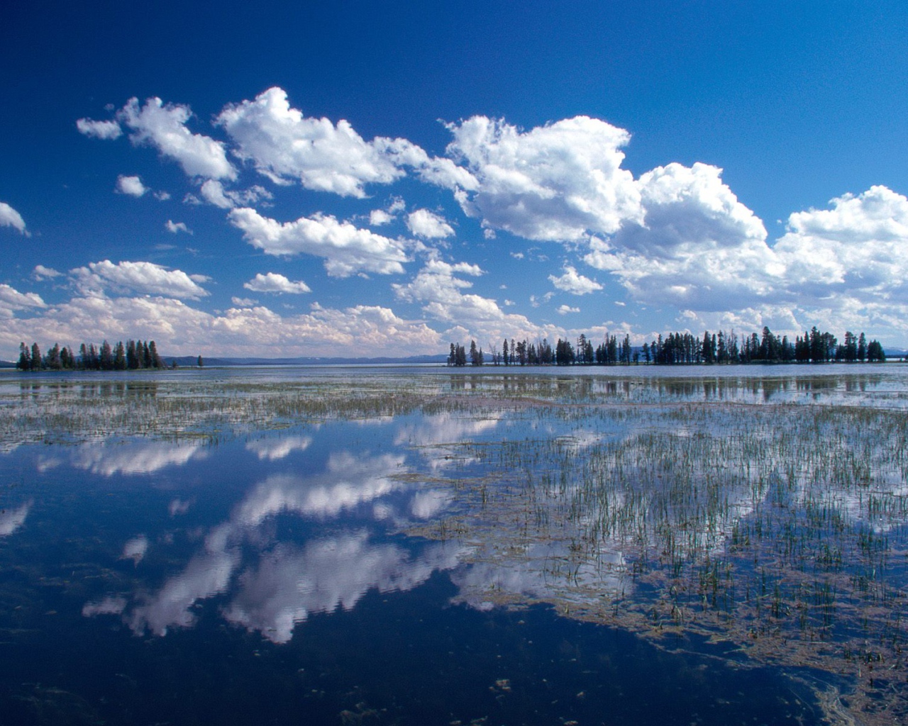 Йеллоустонское Озеро, США