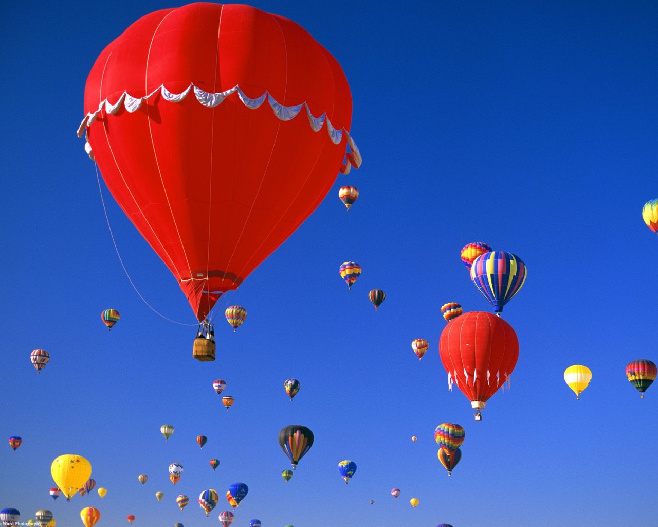 Воздушные шары