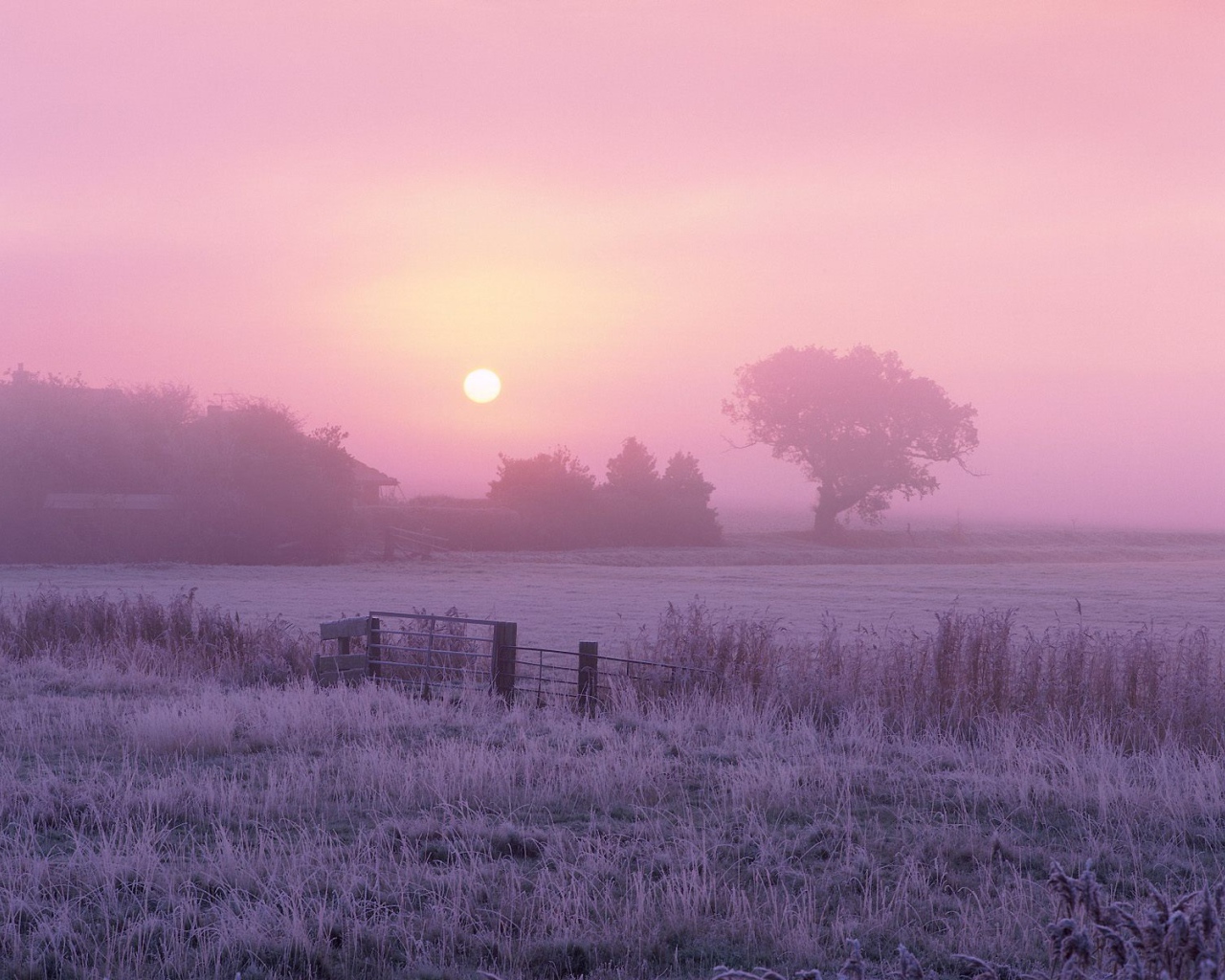 Сельхозугодья