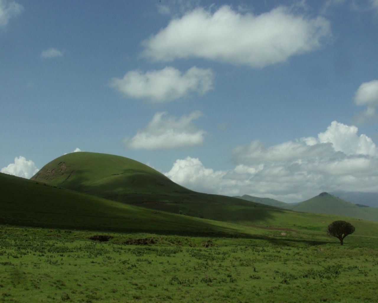 Место в Танзании