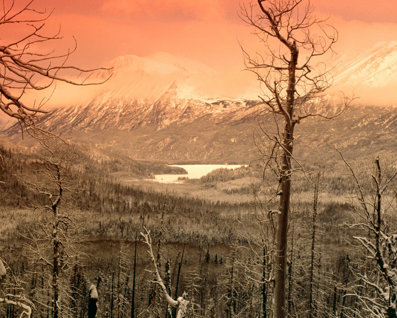 Охваченный зимой