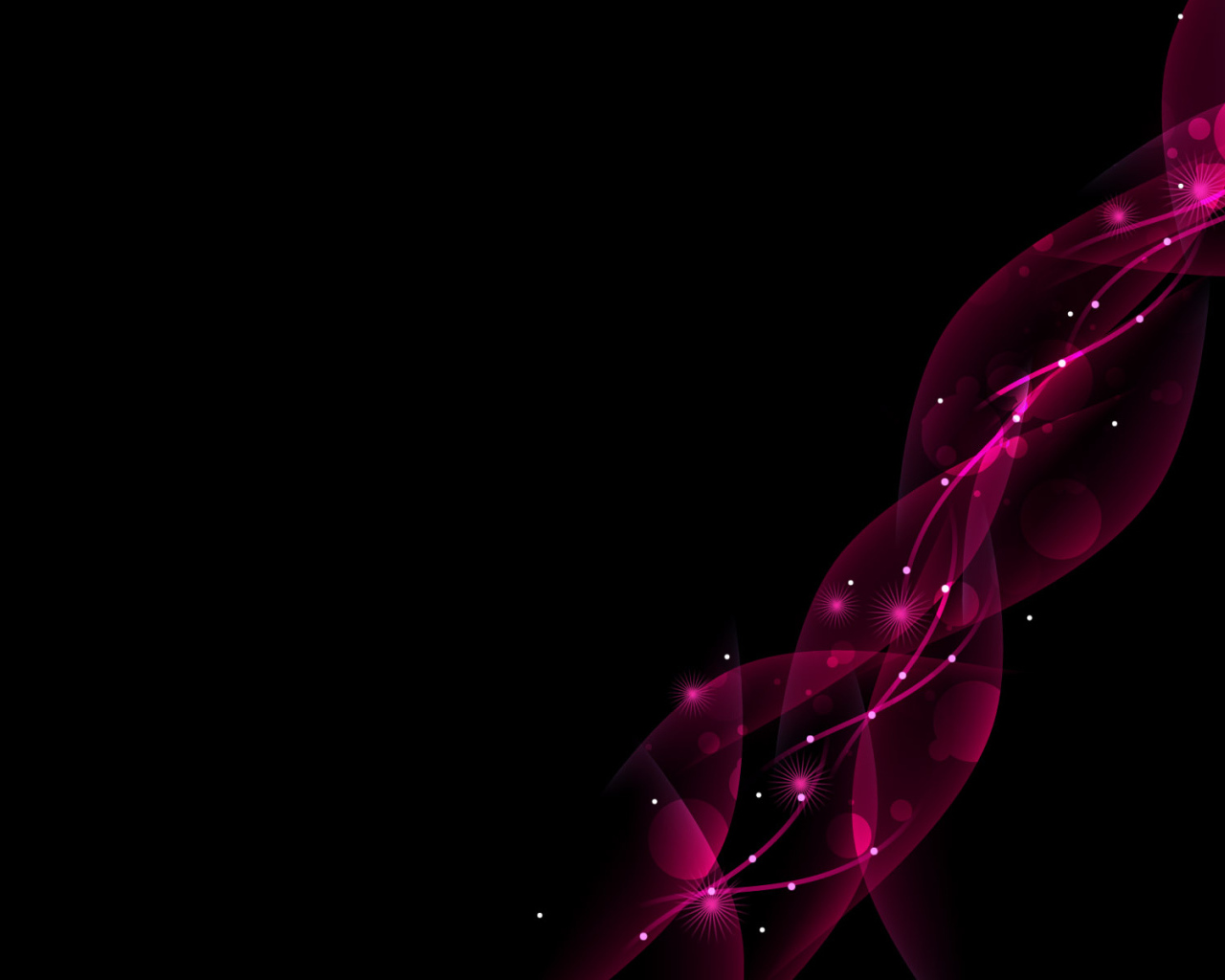 Розовые цветы