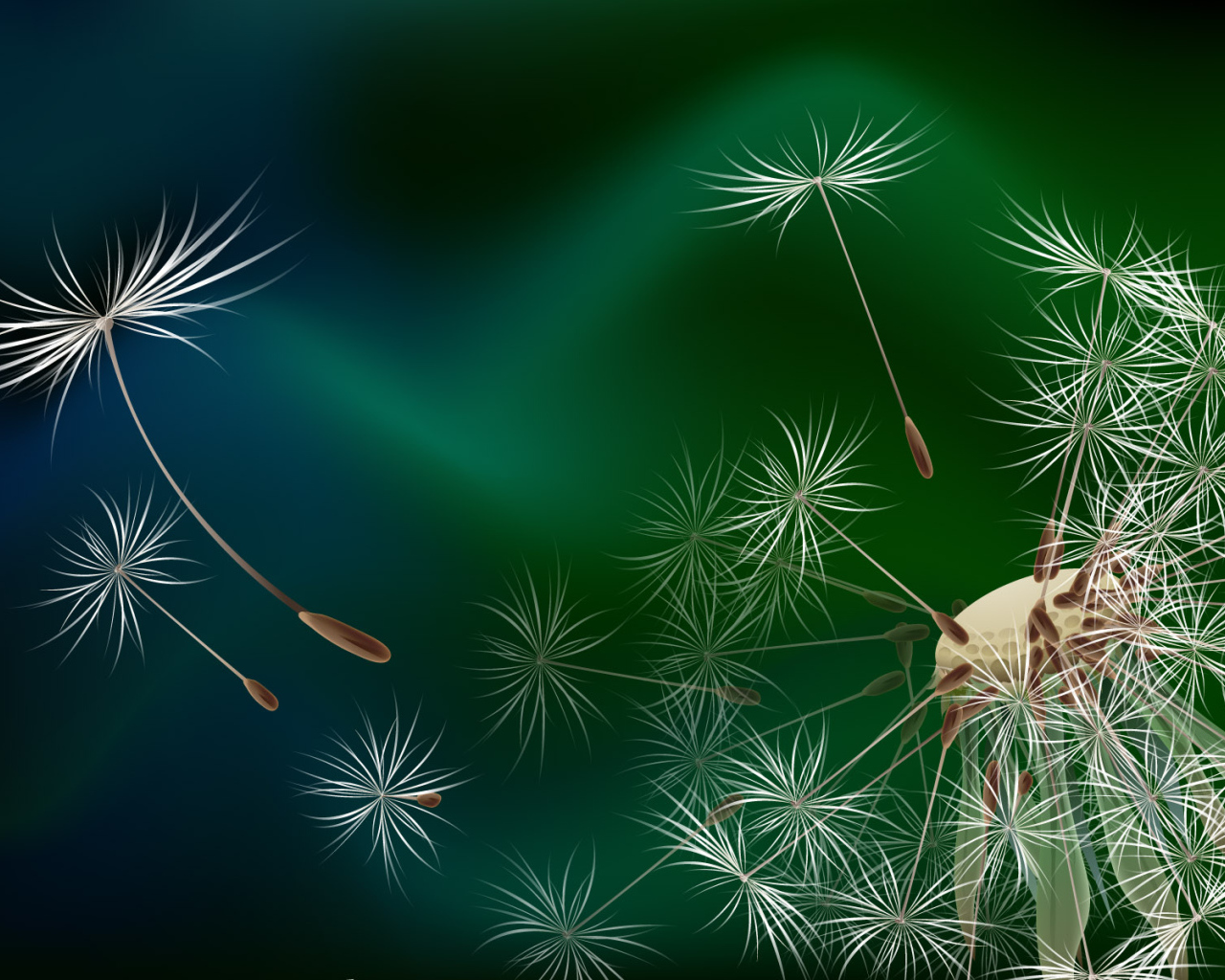 Семена одуванчика