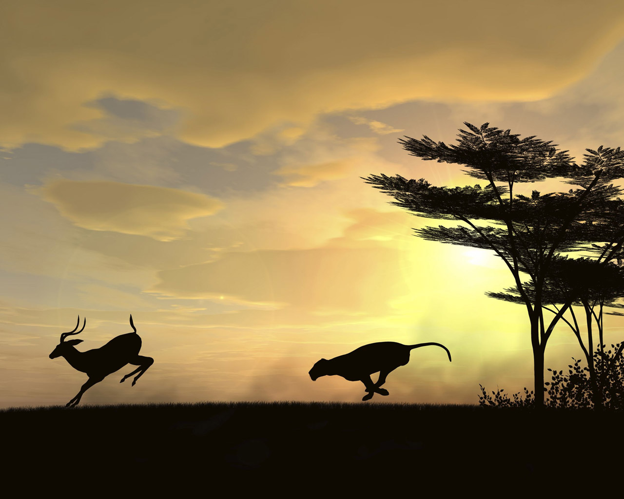 Охотник и жертва