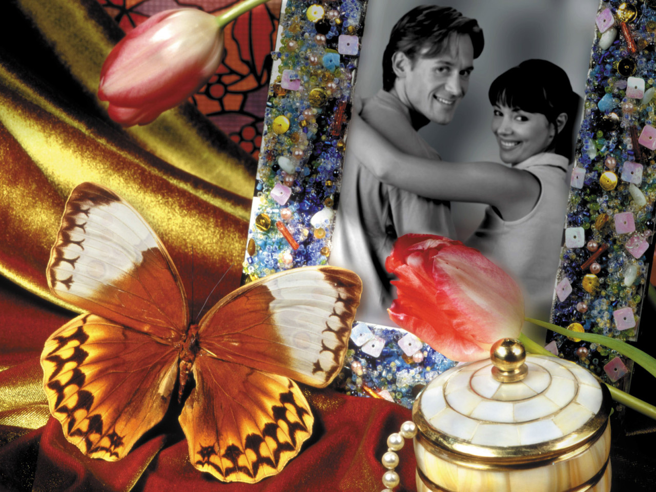 Бабочка у фотографии