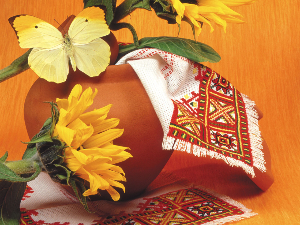 Красивая желтая бабочка на горшке