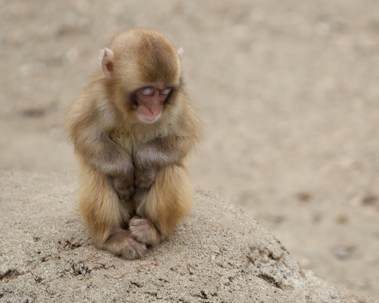 Холодная пора