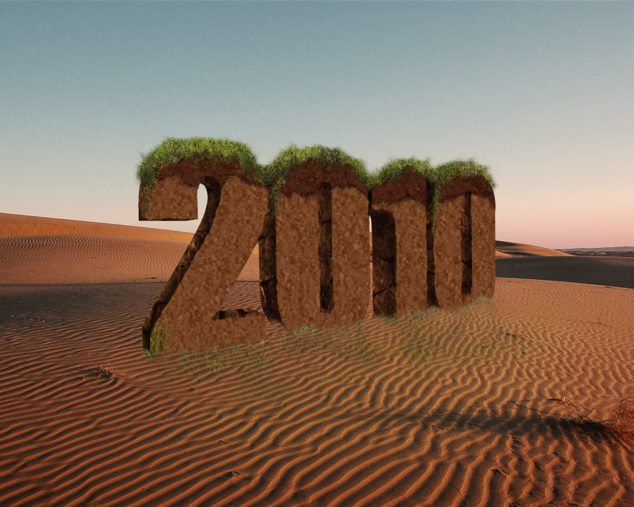 Новый год 2010 пустыня