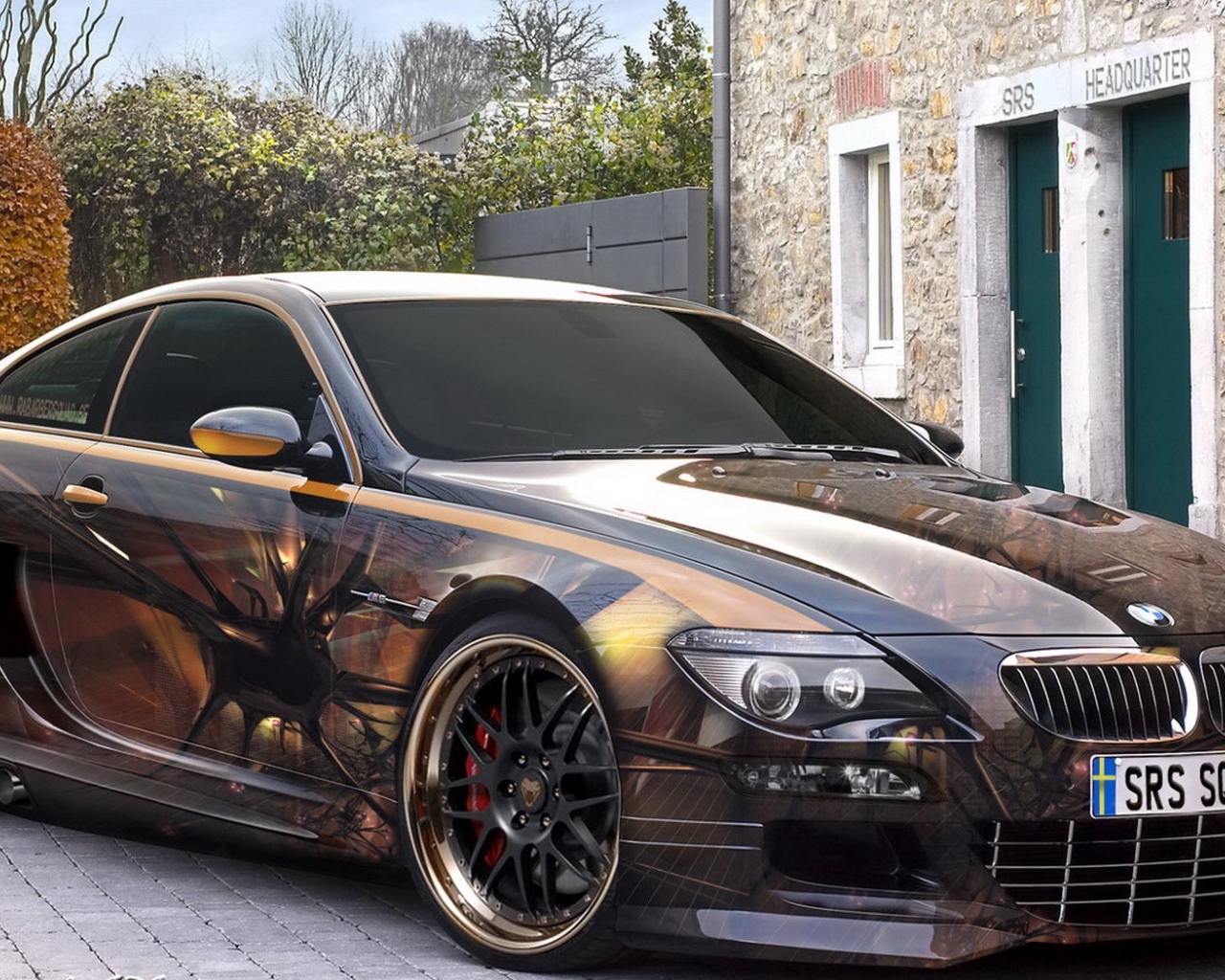 БМВ аэрография