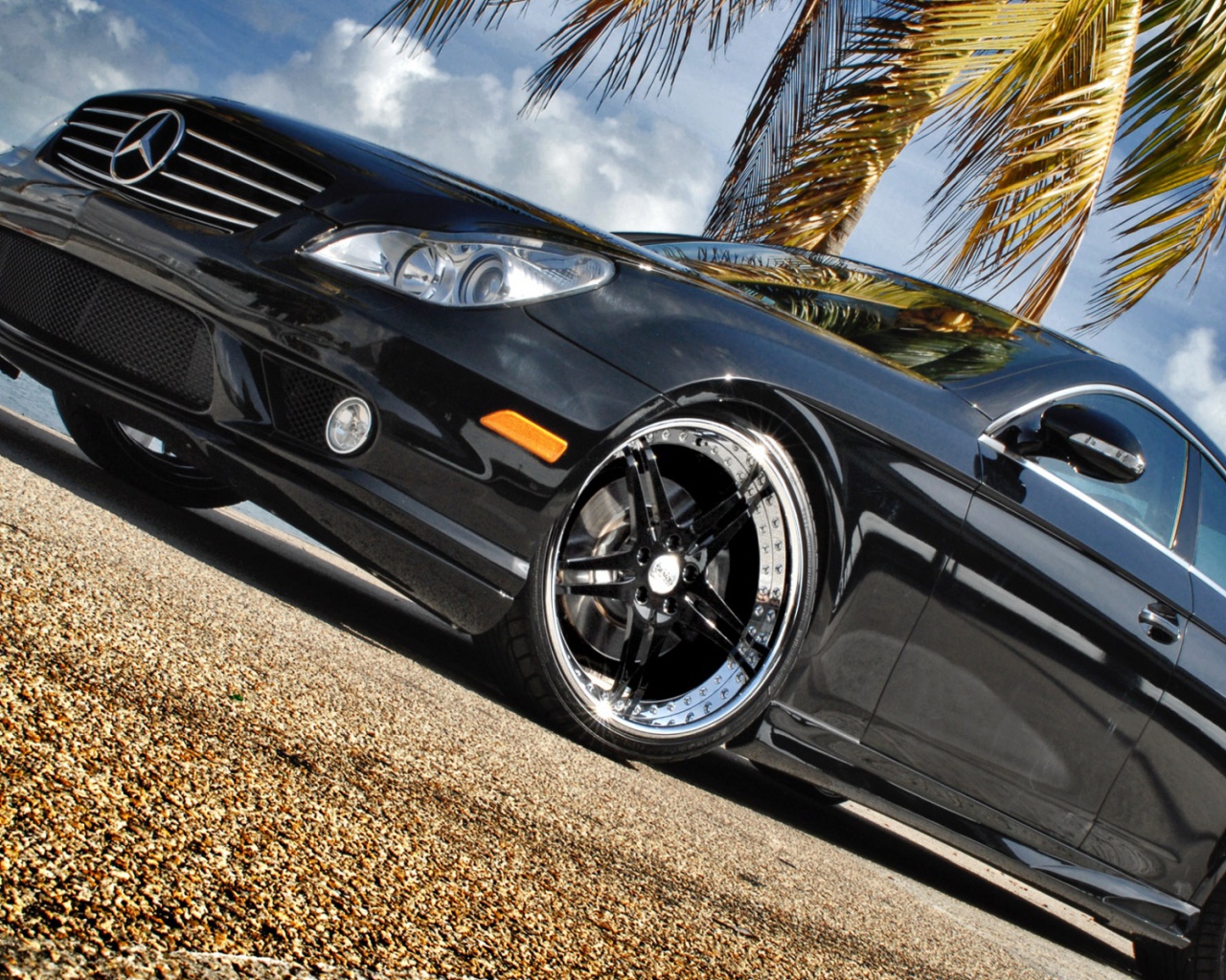 Черный Мерин