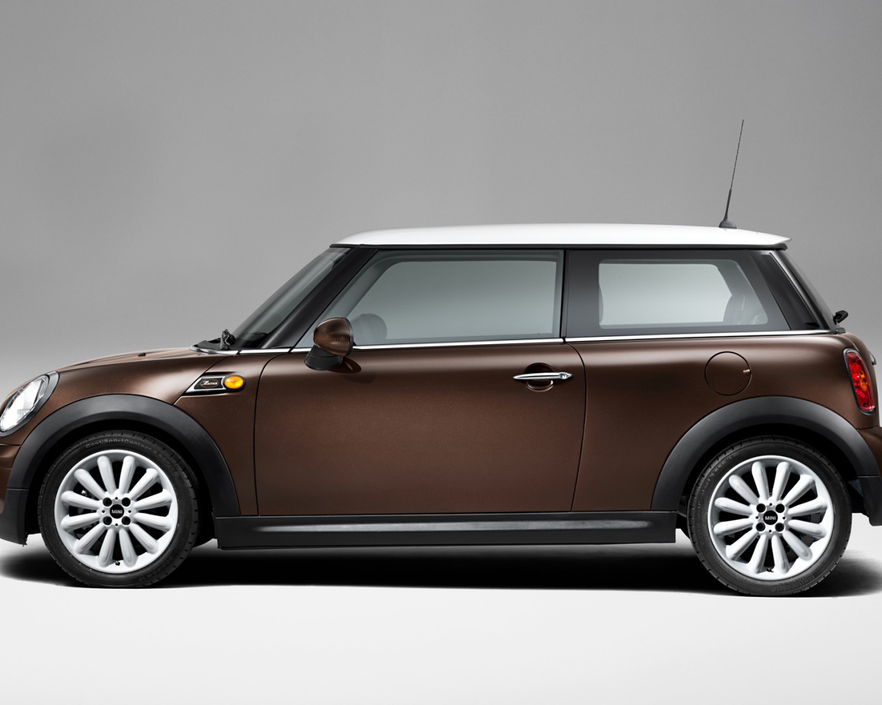 Коричневый Мини