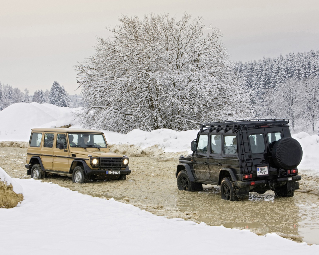 Внедорожники