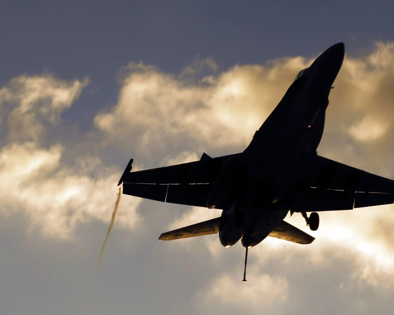 Военная авиация / на посадке