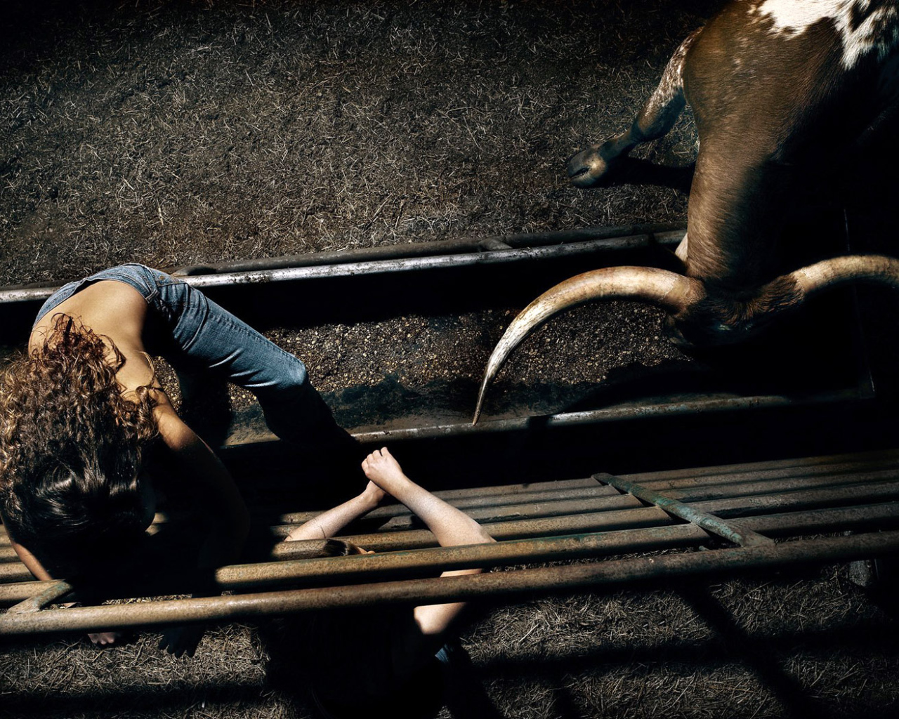 Красавица и чудовище