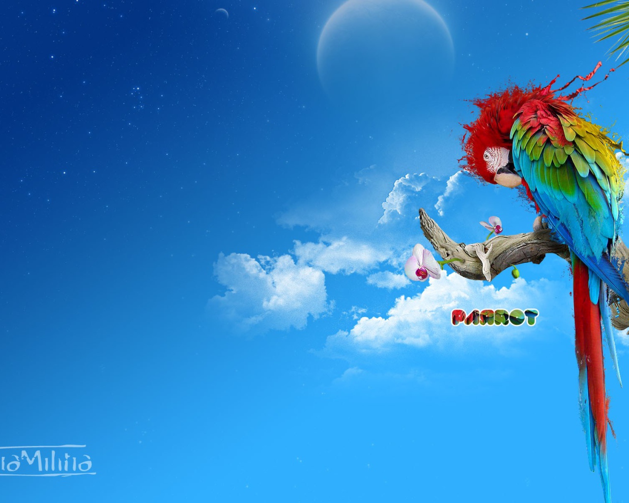 Красочный попугай