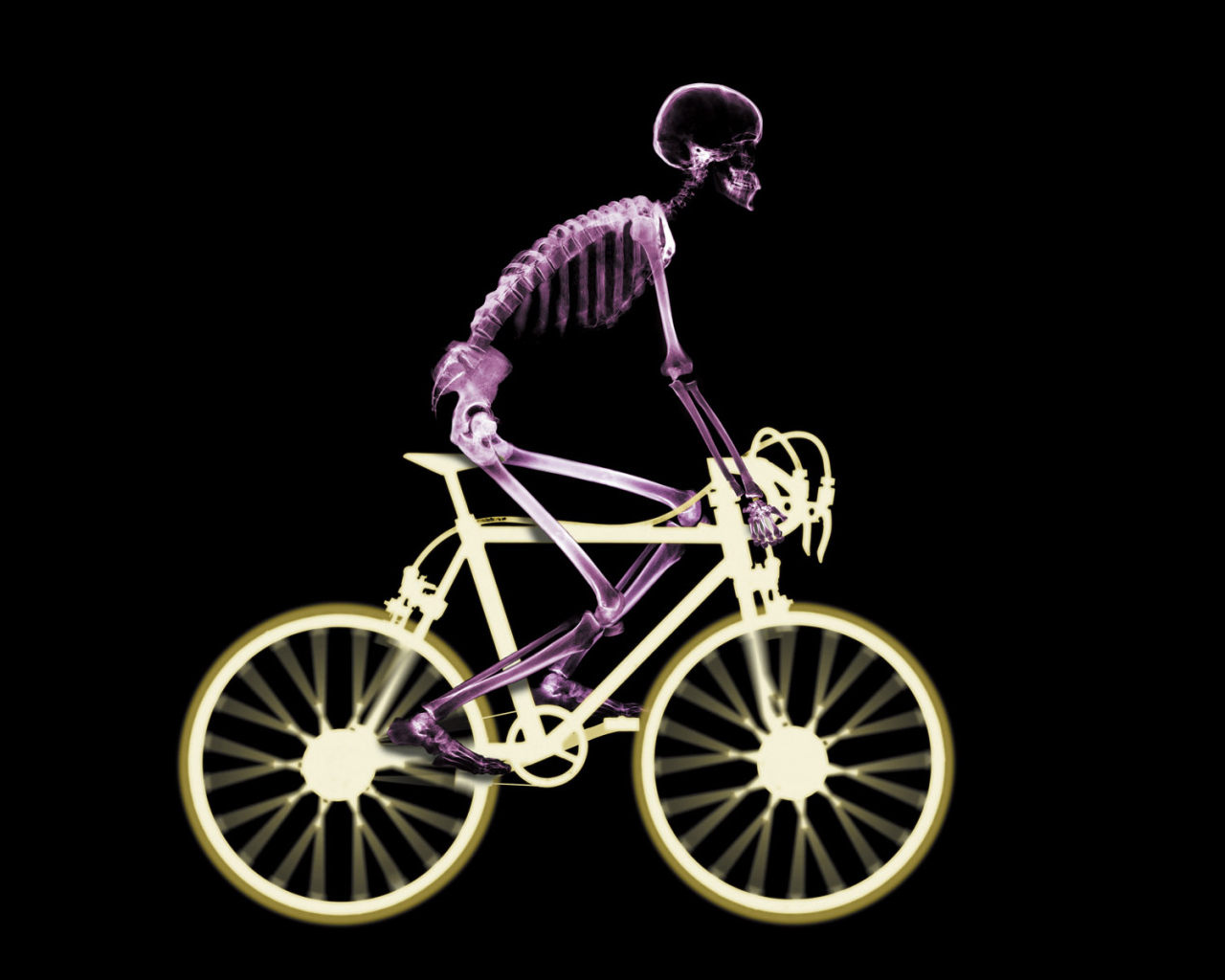 Велосипедист