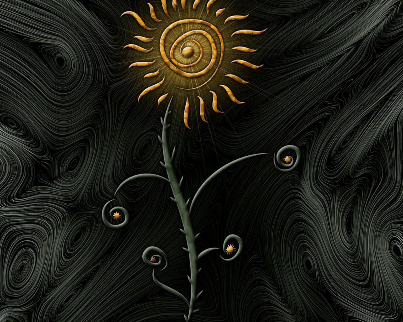 Цветок солнца