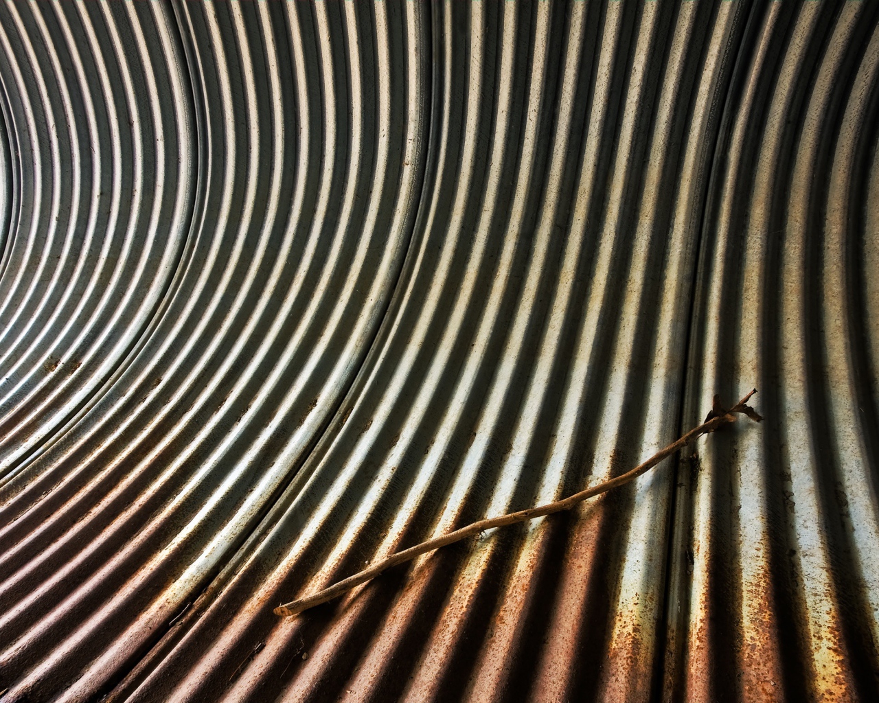 труба зебра