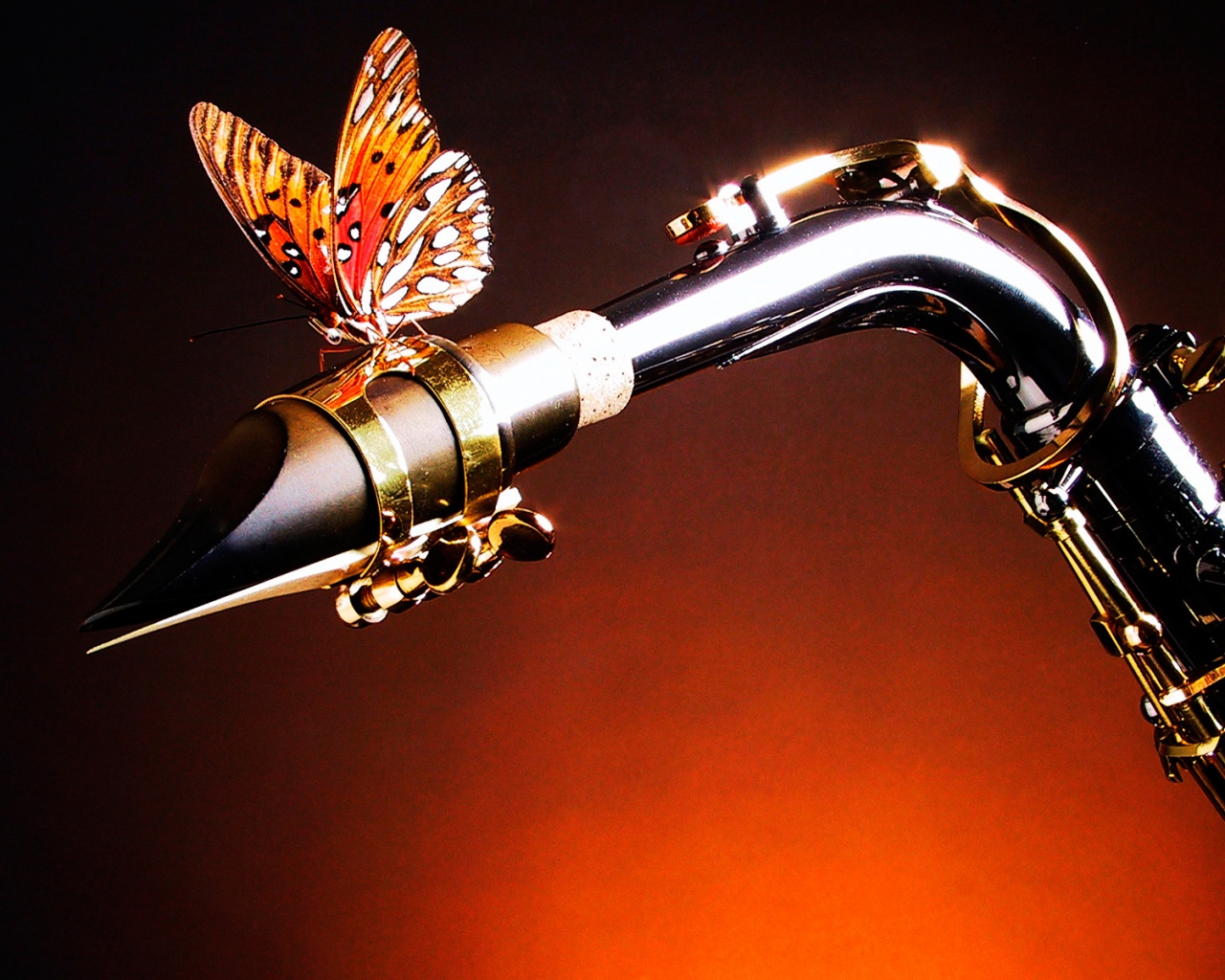 Саксофон и бабочка